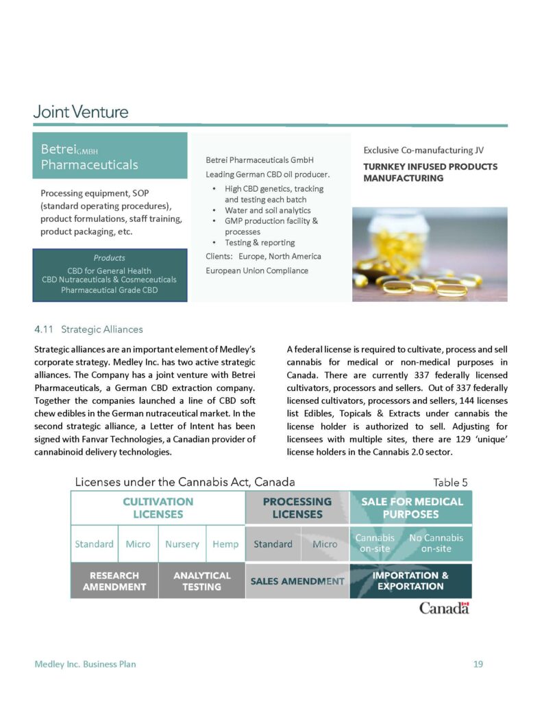 Cannabis Wellness Business Plan Content and Graphics Page 2