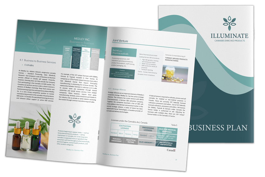 Cannabis Wellness Business Plan