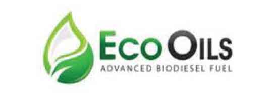 biodiesel business plan