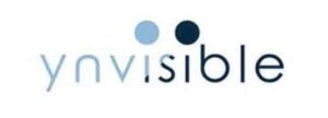 YNivisible Logo Design