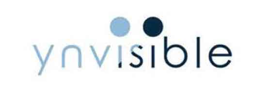 YNivisible Logo Design