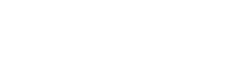 Concord Business Plan and Business Development Agency for Capital Markets